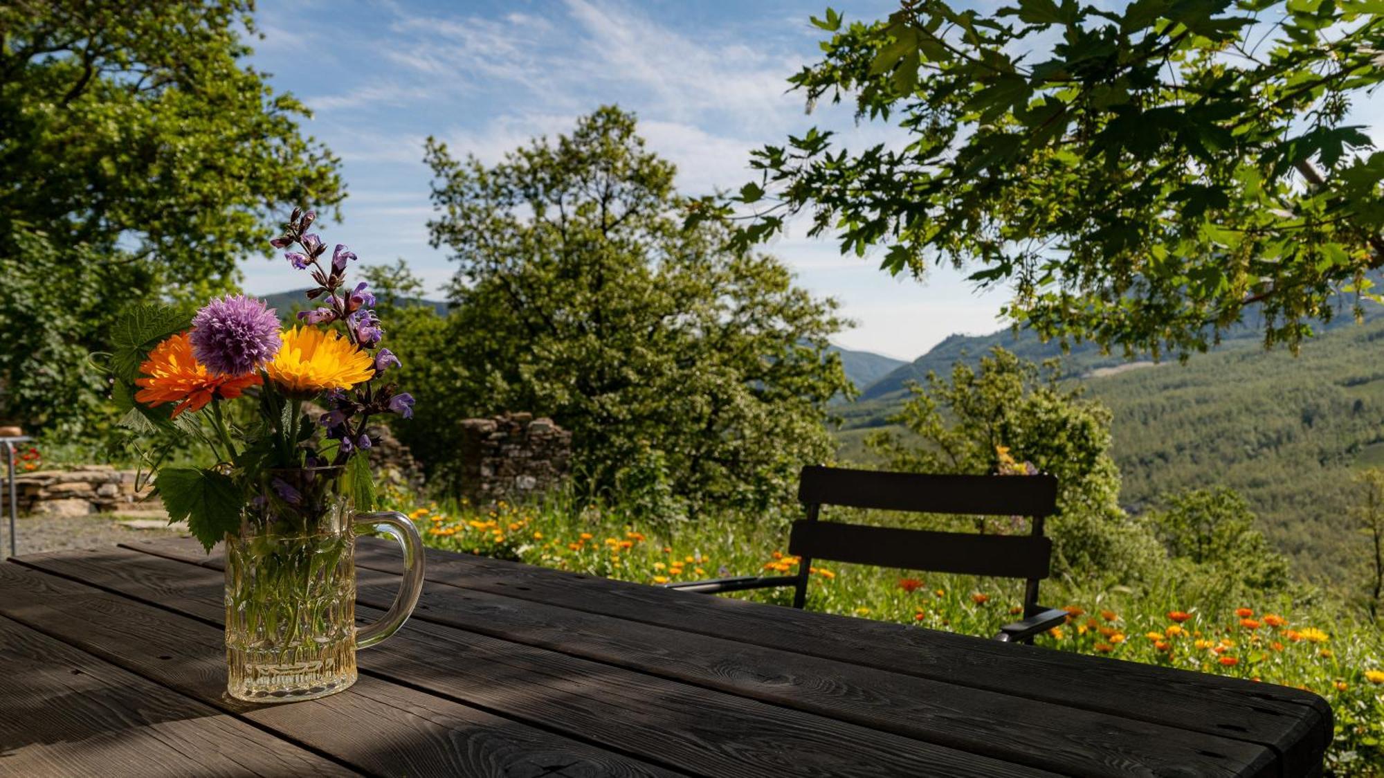 Le Spine B&B Sulla Via Francigena Berceto Exterior foto